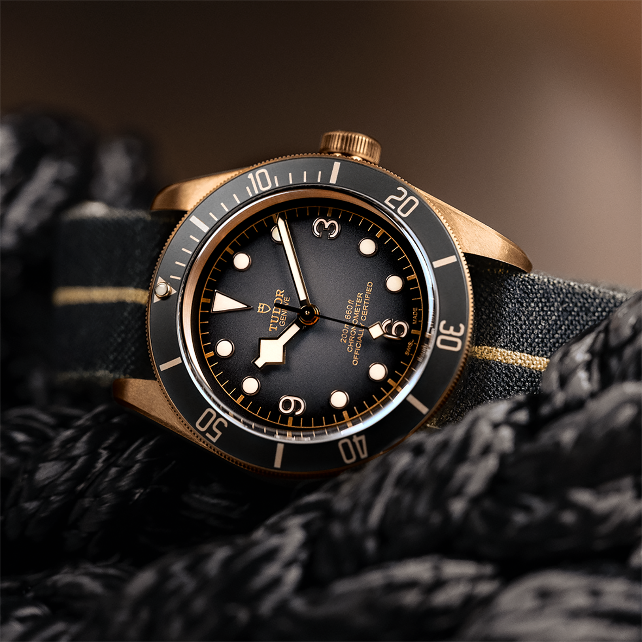 Tudor black bay 2025 bronze slate grey